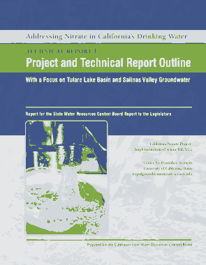 Project and Technical Report Outline Template