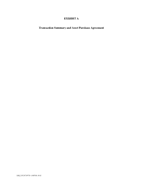 Transaction Summary and Asset Purchase Agreement Template