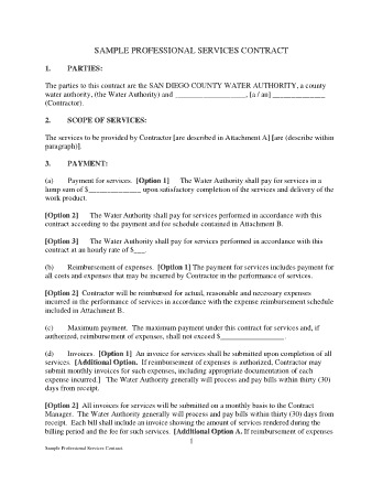 Professional Business Service Contract Agreement Template