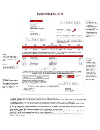 Example Billing Statement Free Template