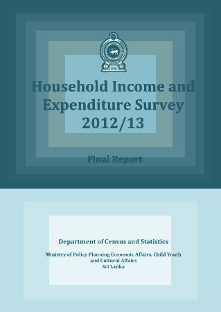 Household Income and Expenditure Survey Statement Template