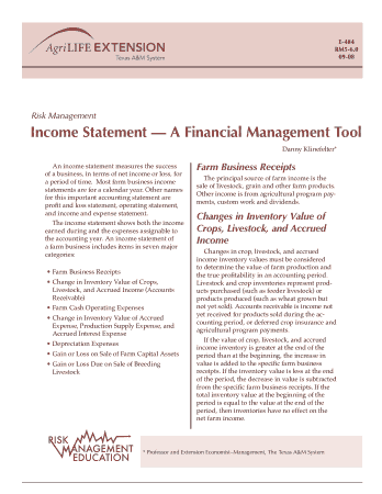 Income Statement a Financial Managing Tool Template