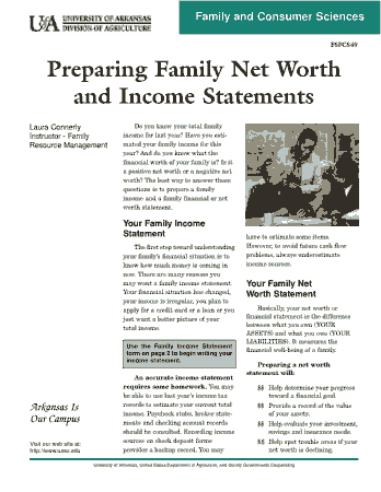 Preparing Family Net Worth and Income Statements Template