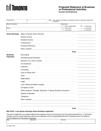 Projected Statement of Business or Professional Activities Template