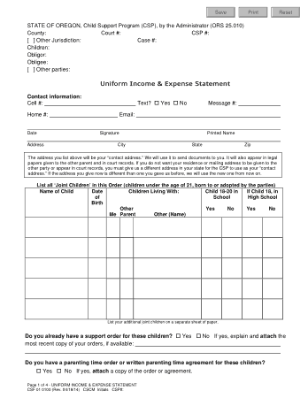 Uniform Income and Expense Statement Template
