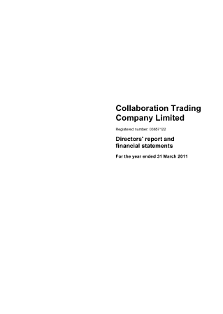 Collaboration Trading Company Limited Financial Statement Template