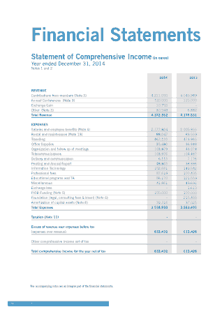Financial Statement of Comprehensive Template