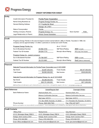 Business Credit Information Sample Sheet Template