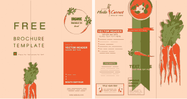Organic Food Brochure Carrot Theme Colorful Classic Decor Free Vector