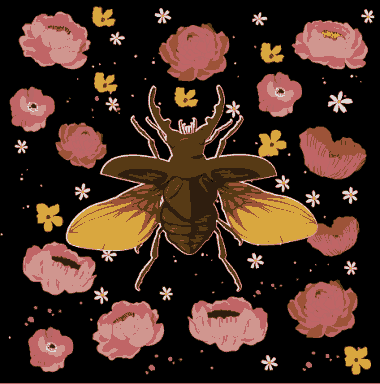 Nature Background Beetle Petals Sketch Colorful Dark Design Free Vector