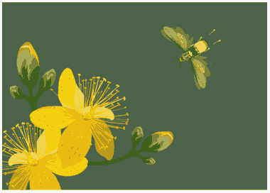Nature Background Blooming Flower Bee Sketch Colored Classic Free Vector