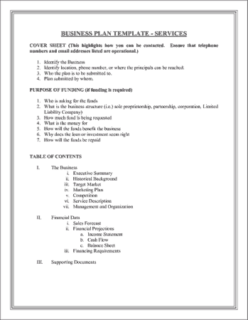 Business Plan Services Example Template