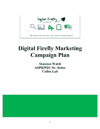 Digital Firefly Marketing Campaign Plan Template