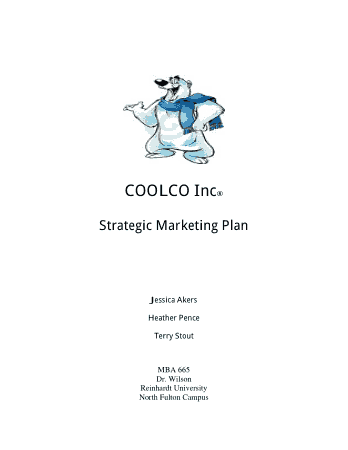Marketing Plan Executive Summary Template