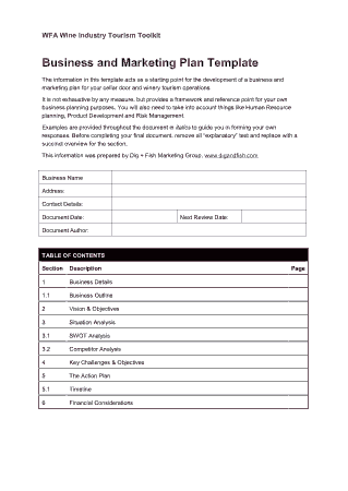 Business and Marketing Plan Template