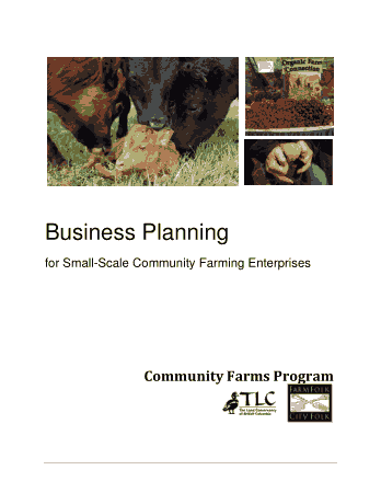 Small Scale Business Plan Template
