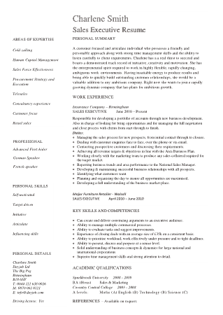 Free Download PDF Books, Sales Executive Resume Example Template