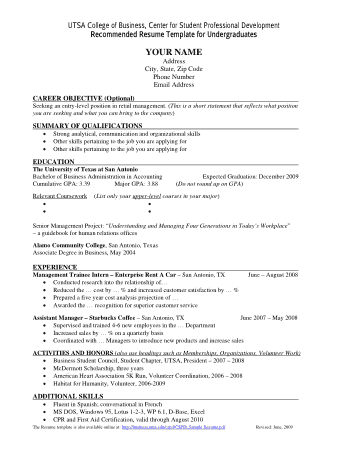 Professional Business Resume Example Template