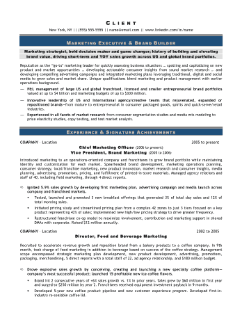 Marketing Executive and Brand Builder Officer Resume Template
