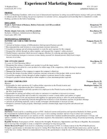 Professional Experienced Marketing Resume Template
