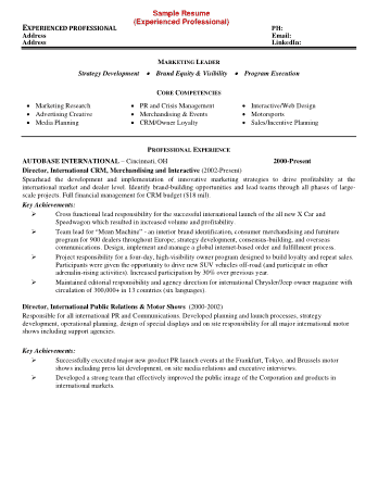 Professional Marketing Resume Example Template