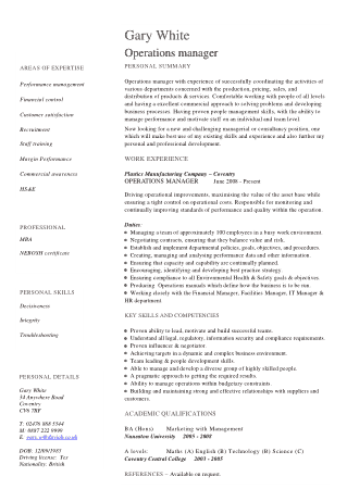 Manager Work Experience Resume Template