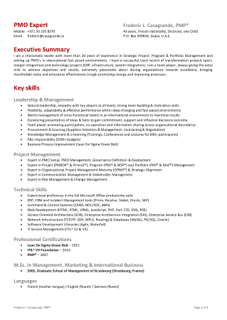 Project Manager Executive Summary Resume Template
