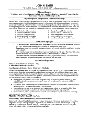 Resume Professional Services Project Manager Template