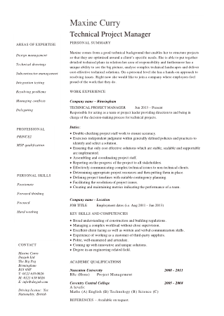 Technical Project Manager Template