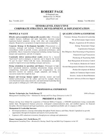 CEO Professional Resume Template