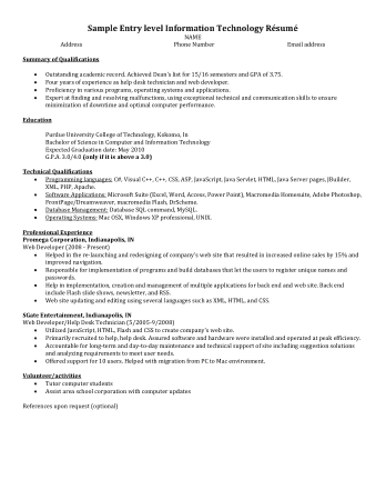 Professional Entry level IT Resume Template