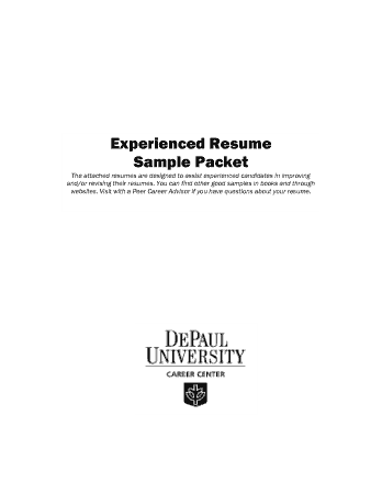 Professional Experience Resume Sample Template