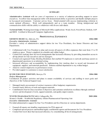 Professional Experience Summary Resume Template