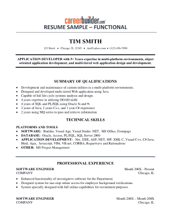 Professional Software Engineer Resume Template