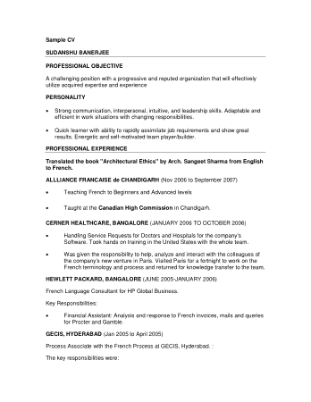 Simple Professional Resume PDF Template