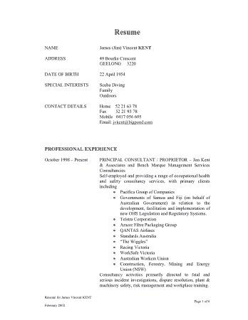 Consulting Resume Sample Example Template