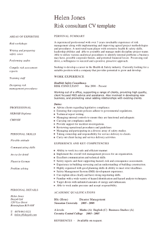 Risk Consultant Resume CV Template