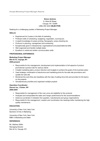 Marketing Project Manager Resume Template