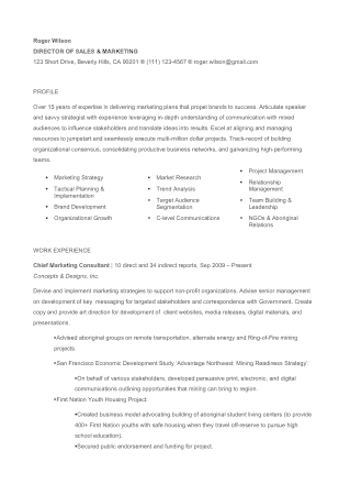 Sample Director of Sales and Marketing Resume Template