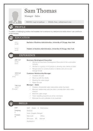 Free Sale Manager Resume Template