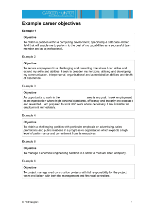 Objective For Sales Resume Template