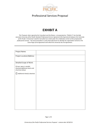 Professional Service Proposal Template