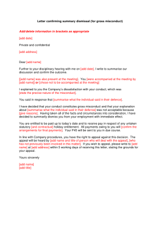 Termination Letter for Disatisfaction with Conduct Template
