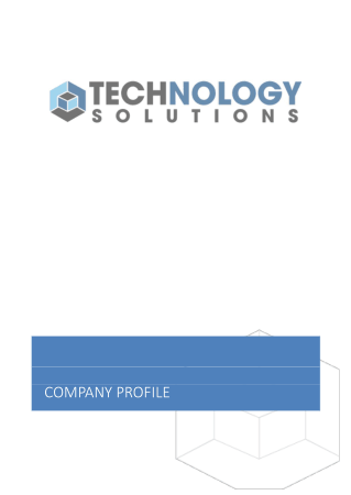 Information Technology Company Profile Template
