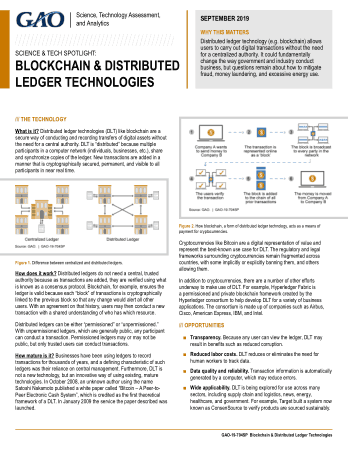 Block Chain and Distributed Ledger Technologies Template