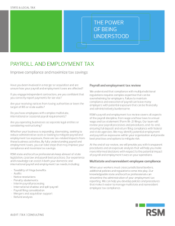 Payroll And Employment Tax Template