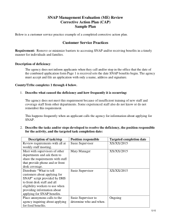 Sample Corrective Action Plan For Customer Service Template