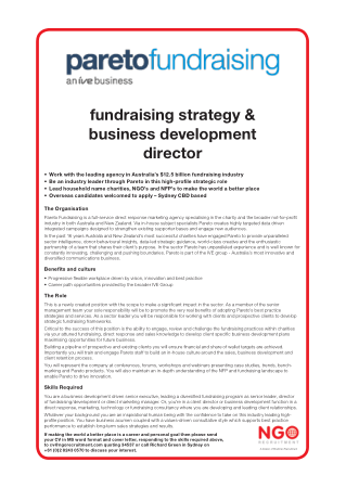 Charity Fundraising Strategy Development Template