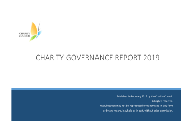 Charity Governance Report Template