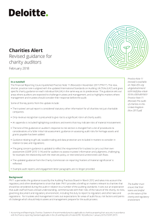 Charity Risk Assessment Template